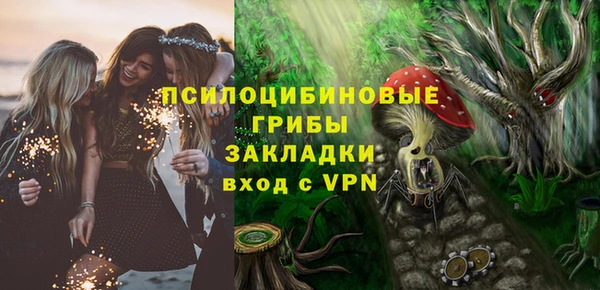ГАЛЛЮЦИНОГЕННЫЕ ГРИБЫ Балахна