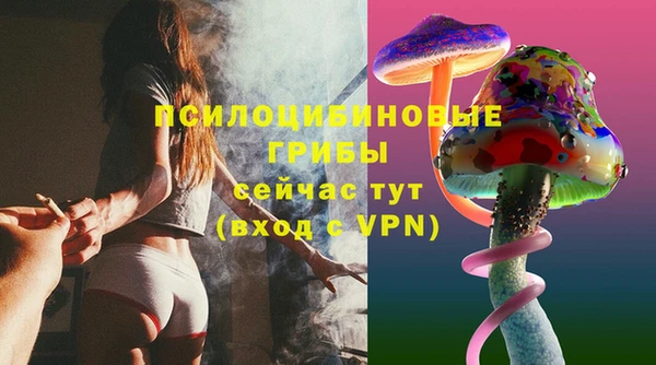 ECSTASY Баксан