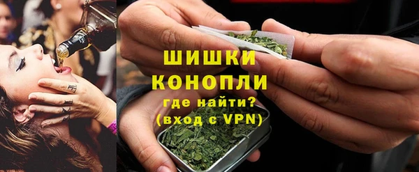 ГАЛЛЮЦИНОГЕННЫЕ ГРИБЫ Балахна