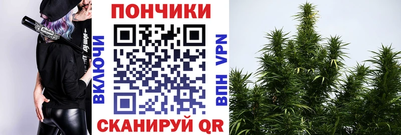 МАРИХУАНА Bruce Banner  цена   Гатчина 